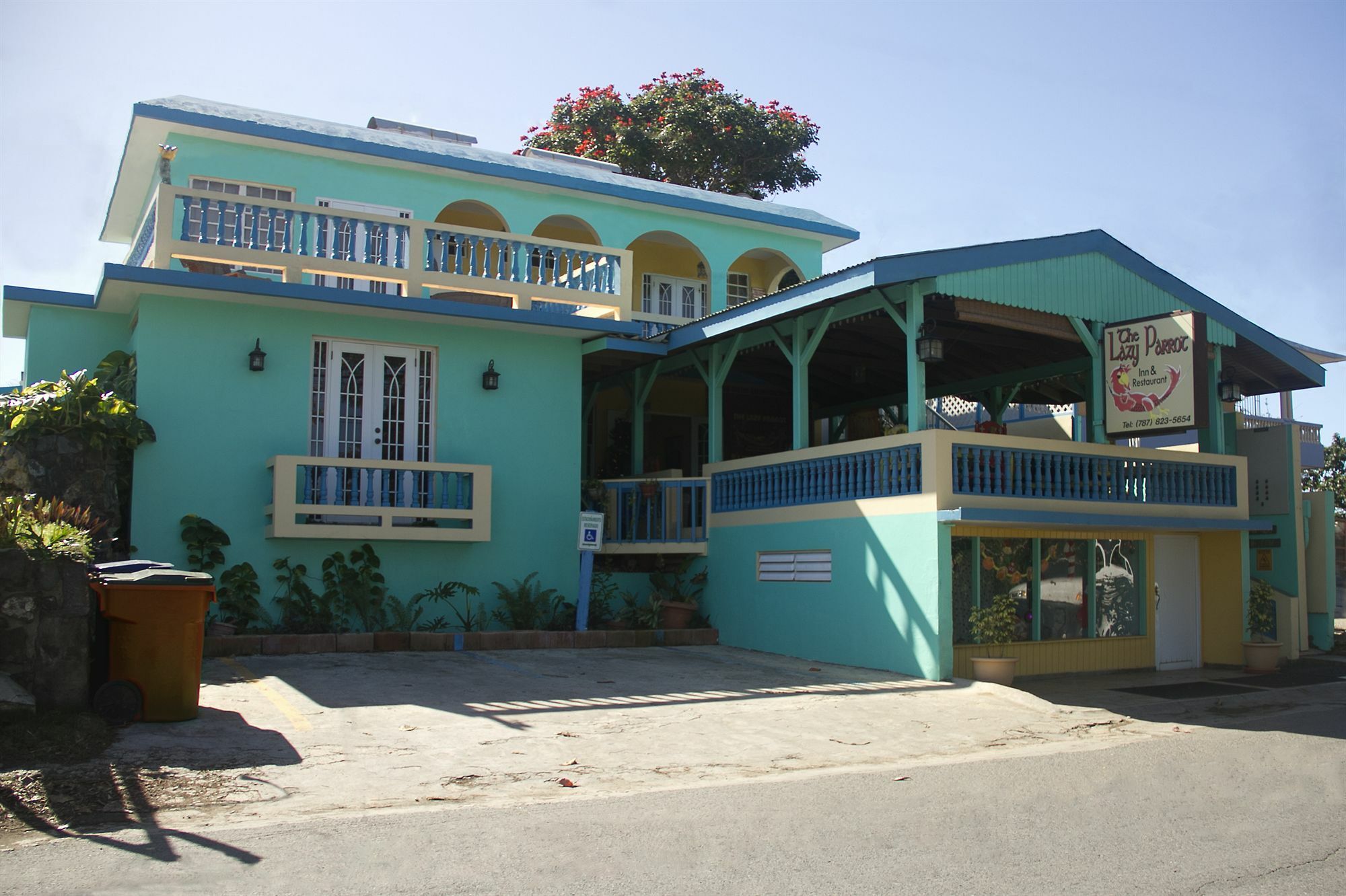 Lazy Parrot Inn & Mini Resort Rincon Exterior photo