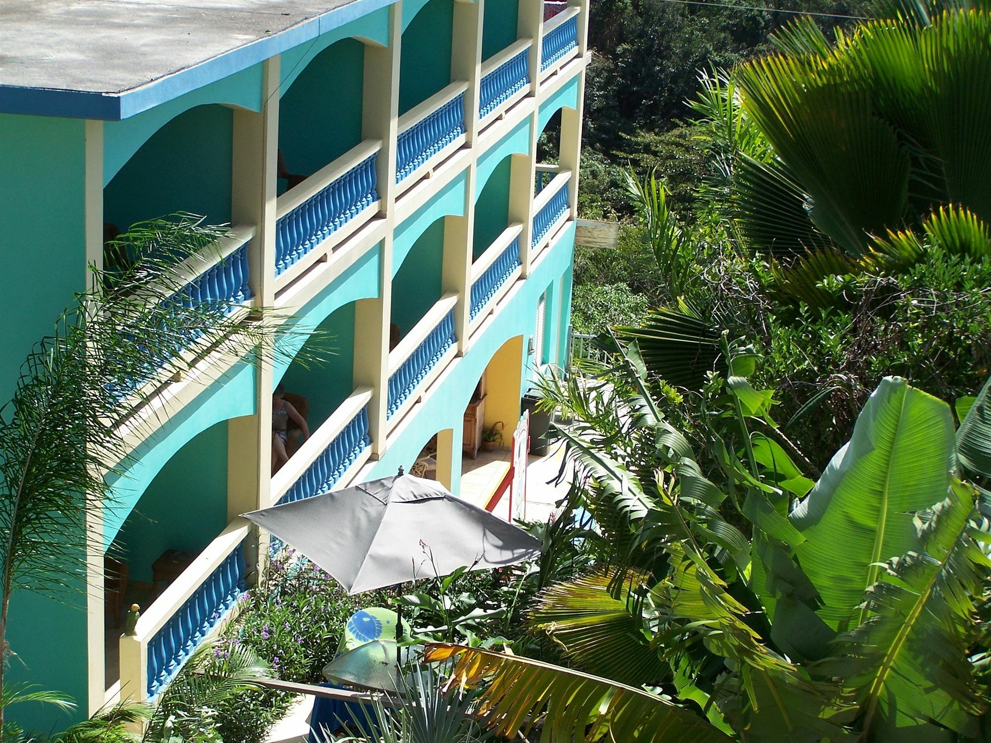 Lazy Parrot Inn & Mini Resort Rincon Exterior photo